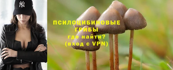 ALPHA-PVP Алексин