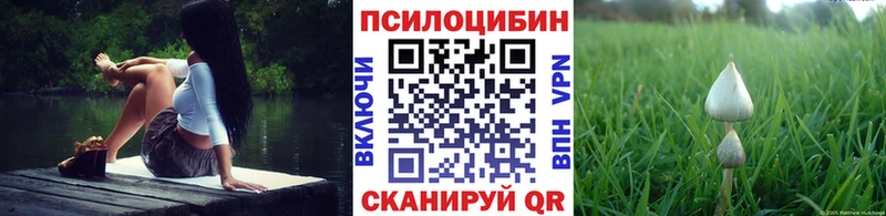 shop какой сайт  Задонск  Псилоцибиновые грибы Magic Shrooms  hydra как войти 